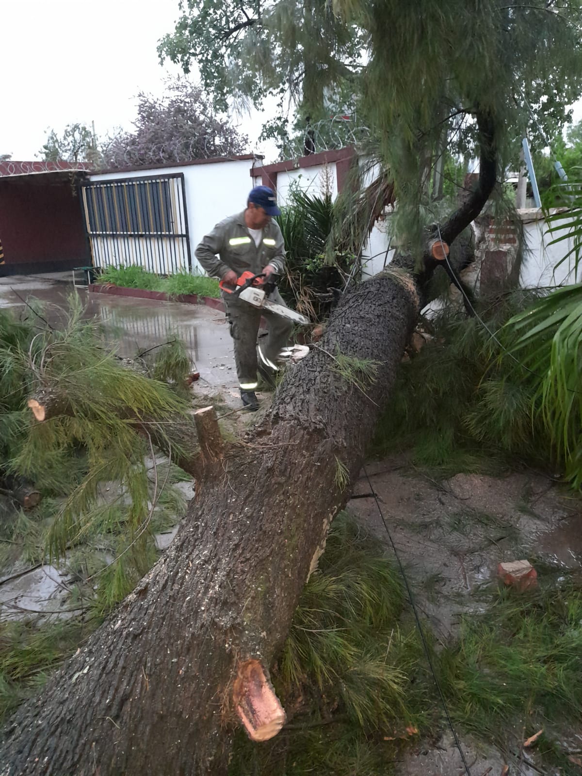 En la Capital, el Comité de Emergencia comenzó trabajar tras las lluvias caídas