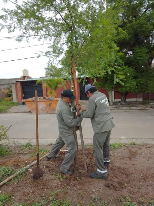 La Municipalidad trabaja en la recuperación de los daños producidos por el temporal