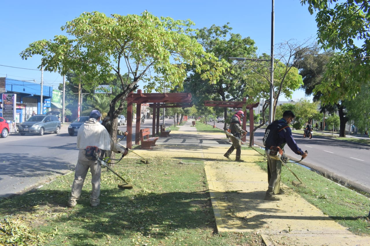 La Capital realizó tareas de mantenimiento en espacios verdes